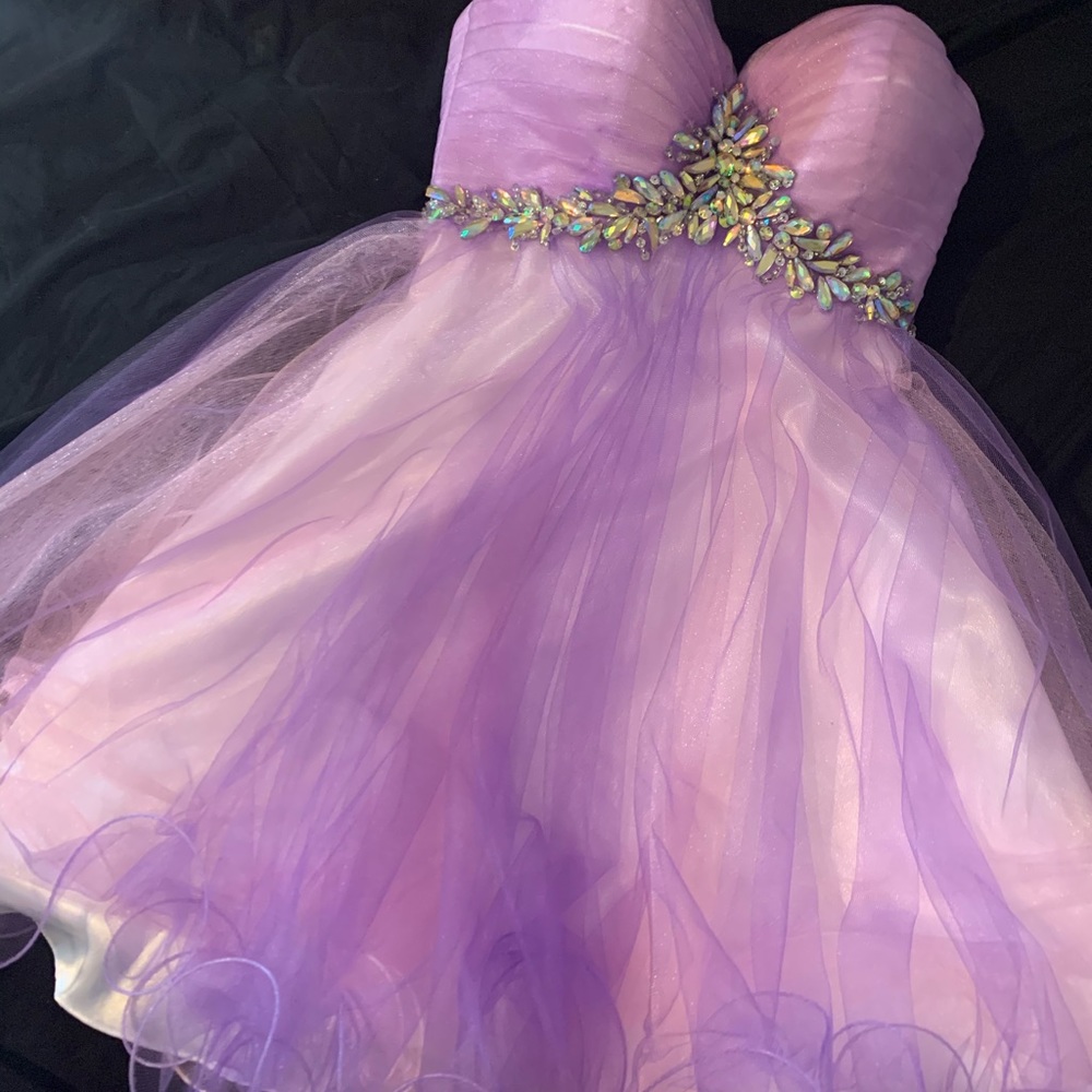 Alyce Paris Purple/Pink Dress